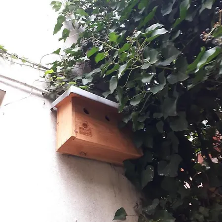 Le Nichoir Aux Oiseaux Apartment Paris Exterior photo